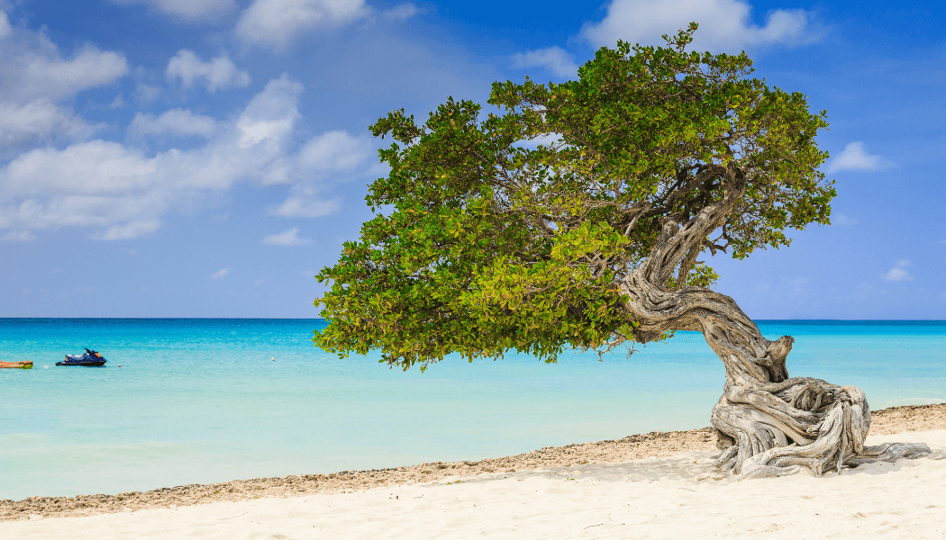 OneHappyFinance Aruba